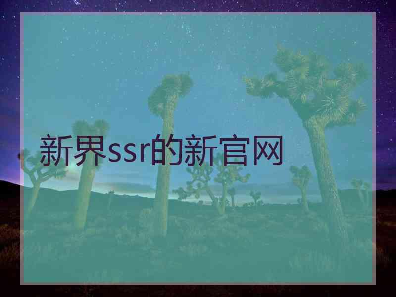 新界ssr的新官网
