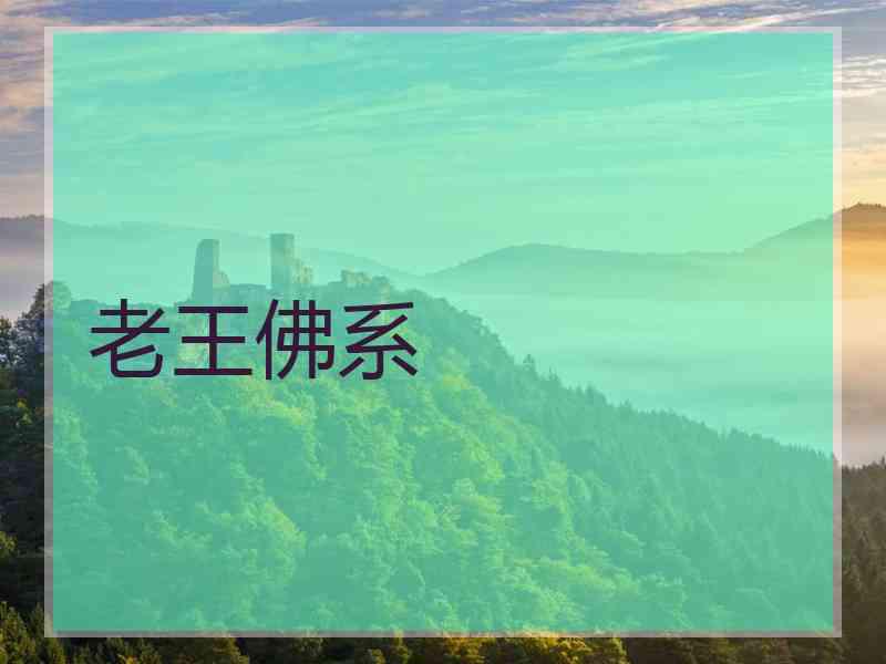 老王佛系