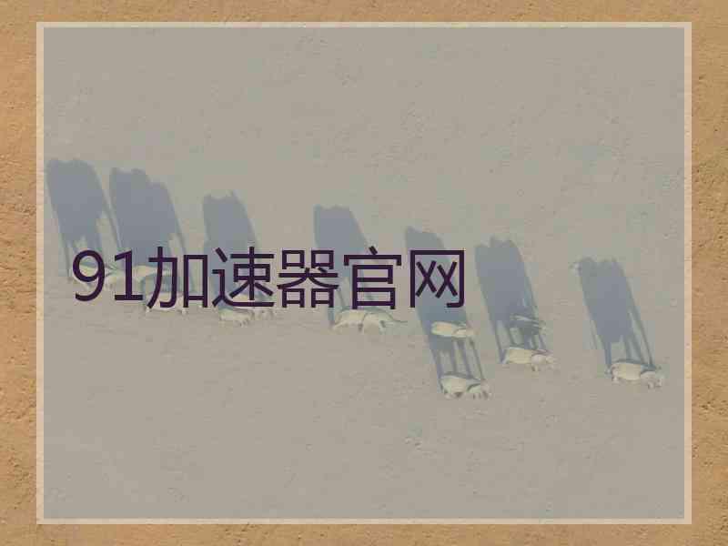 91加速器官网