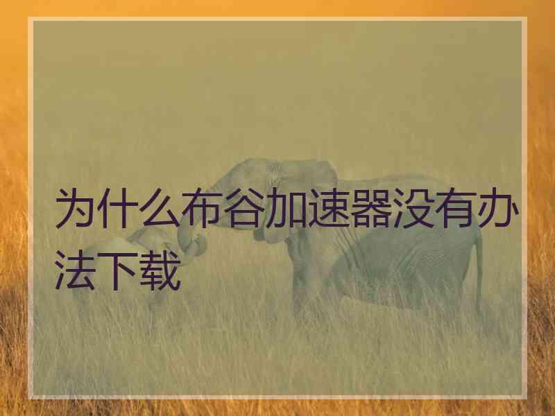 为什么布谷加速器没有办法下载