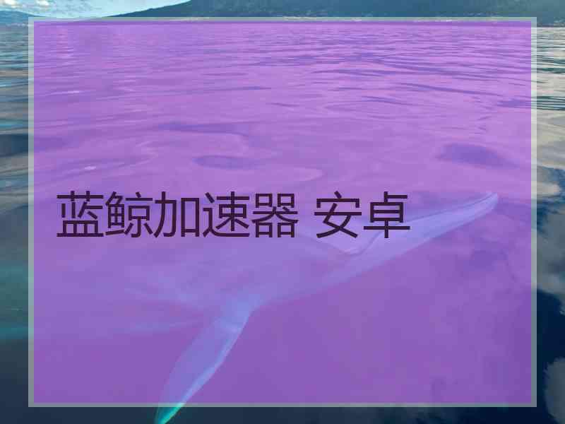 蓝鲸加速器 安卓