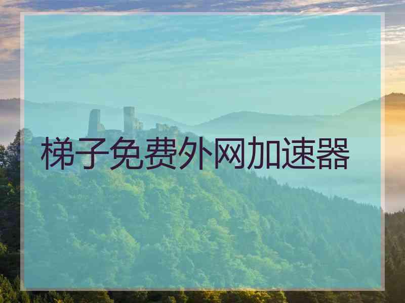 梯子免费外网加速器