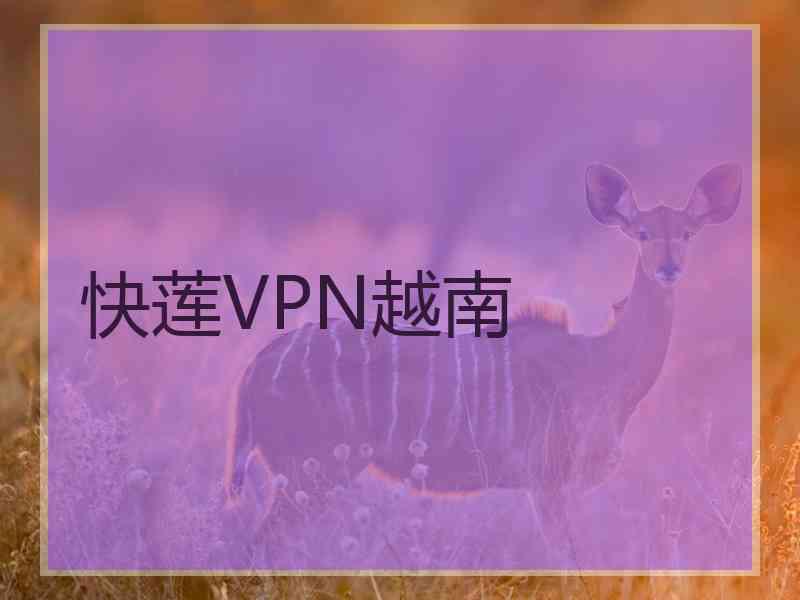 快莲VPN越南